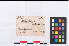 Foto von Bronzering (NHMW-PRAE-003411)